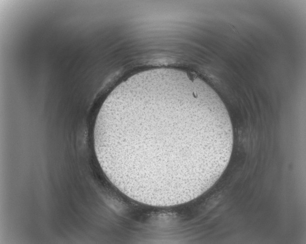 X0000066930304200604071853