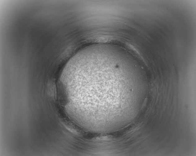 X0000066930307200604071853