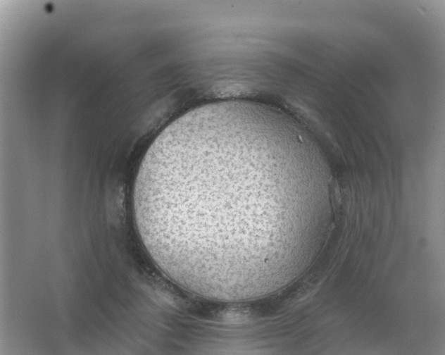 X0000066930308200604071853