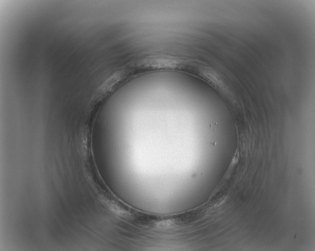 X0000066930309200604071853