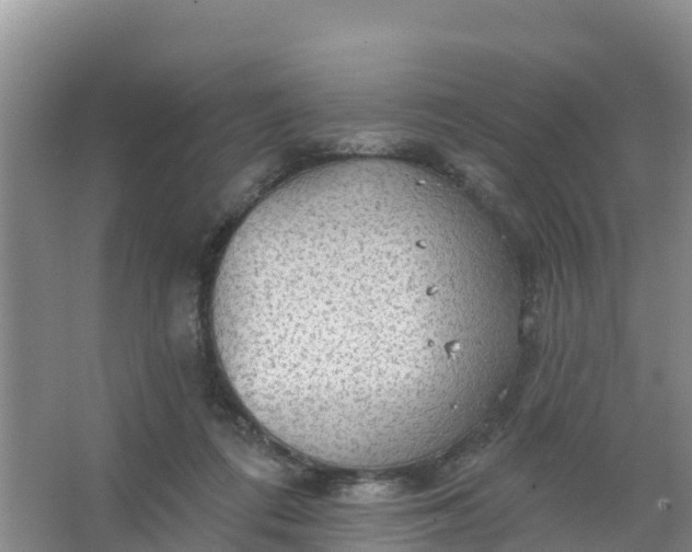 X0000066930312200604071853