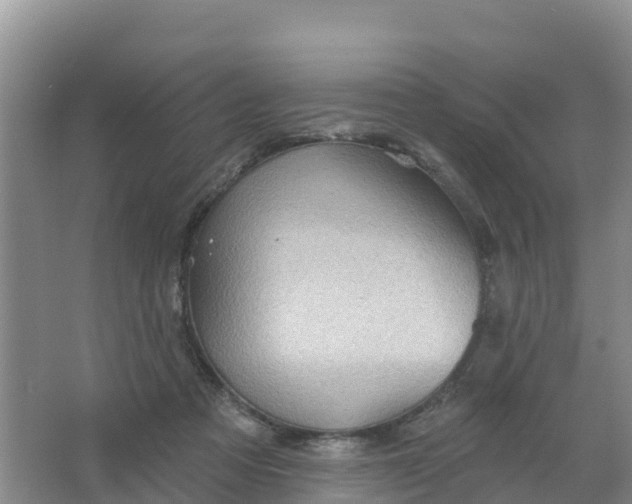 X0000066930313200604071853