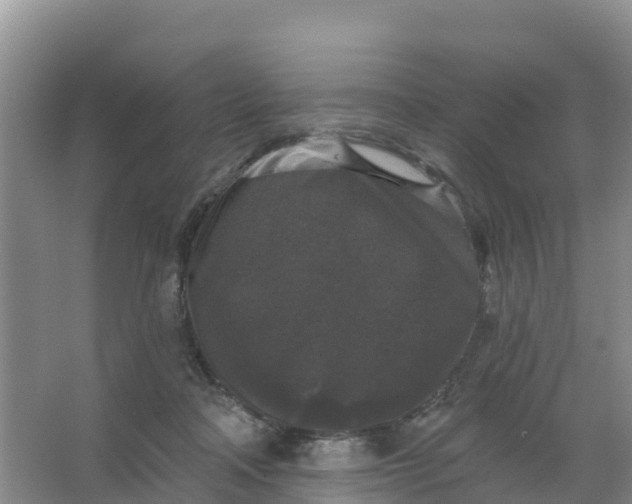 X0000066930314200604071853