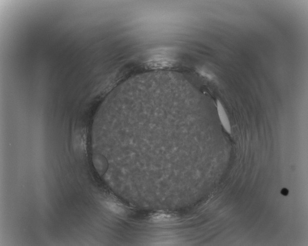 X0000066930315200604071853