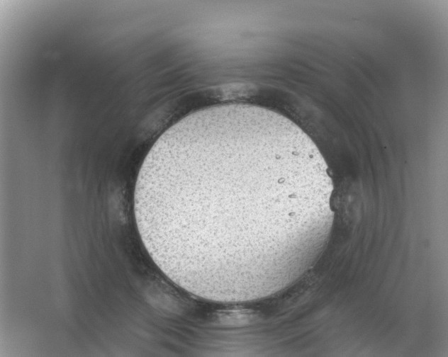 X0000066930316200604071853