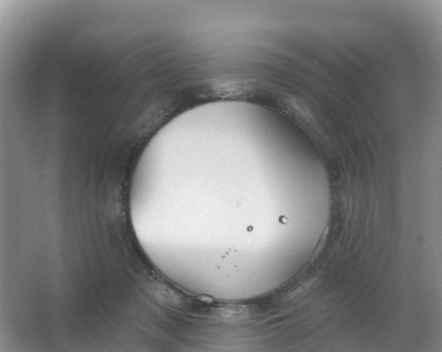 X0000066930317200604071853