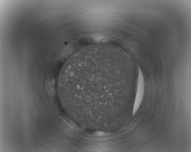 X0000066930319200604071853