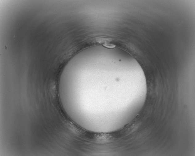 X0000066930321200604071853