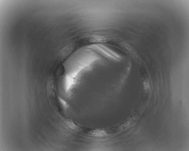 X0000066930322200604071853