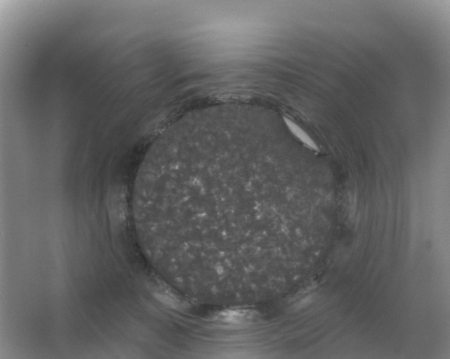 X0000066930323200604071853