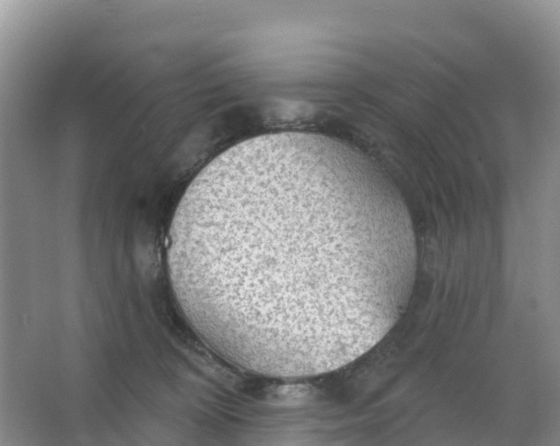 X0000066930324200604071853