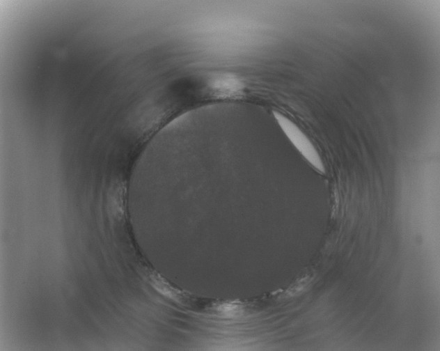 X0000066930325200604071853