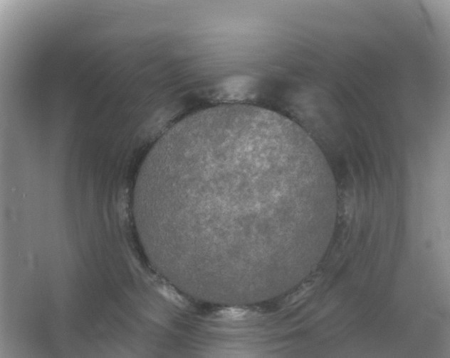 X0000066930326200604071853