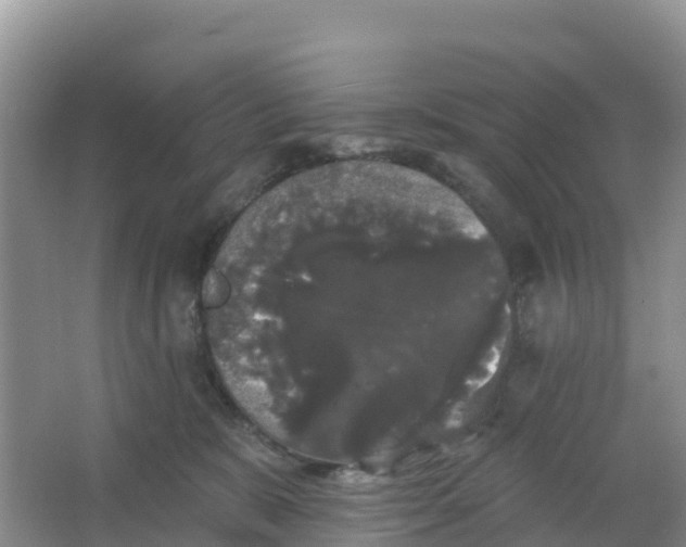 X0000066930327200604071853