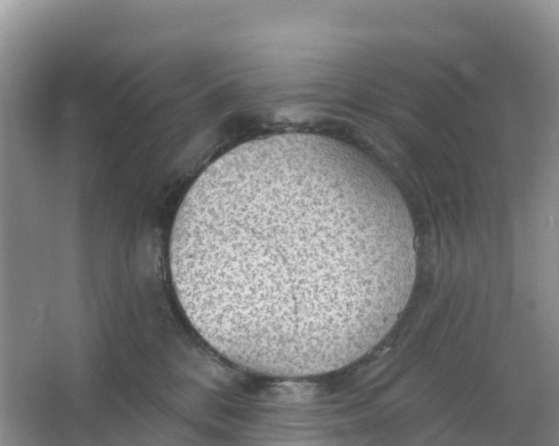 X0000066930328200604071853