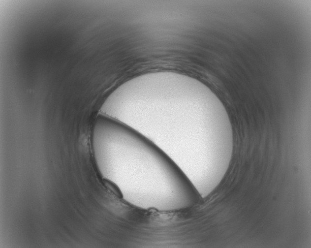 X0000066930329200604071853