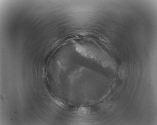 X0000066930330200604071853