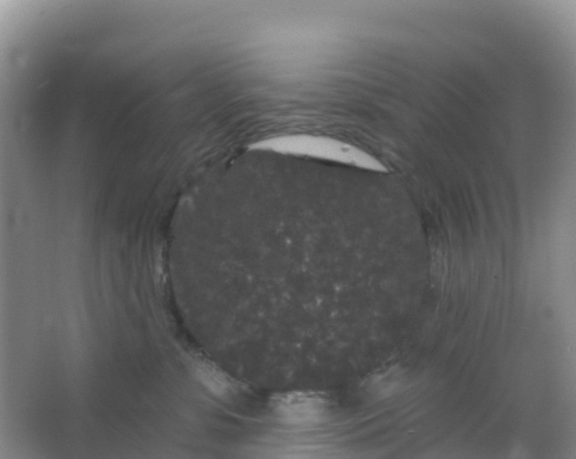 X0000066930331200604071853