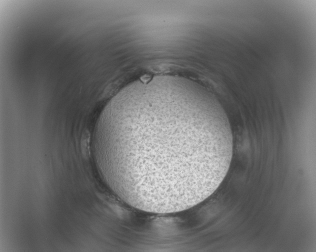 X0000066930332200604071853