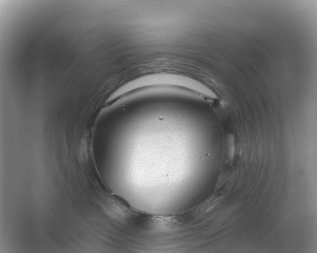 X0000066930333200604071853