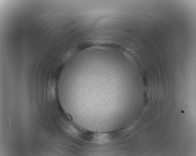 X0000066930334200604071853