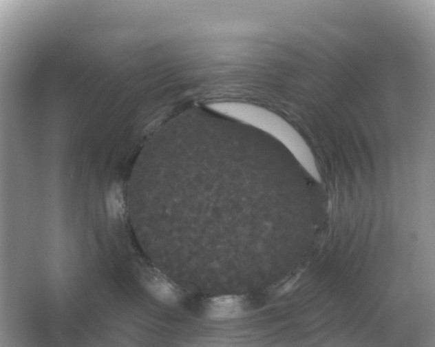 X0000066930335200604071853