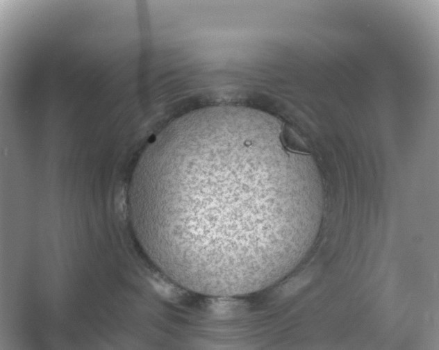 X0000066930336200604071853