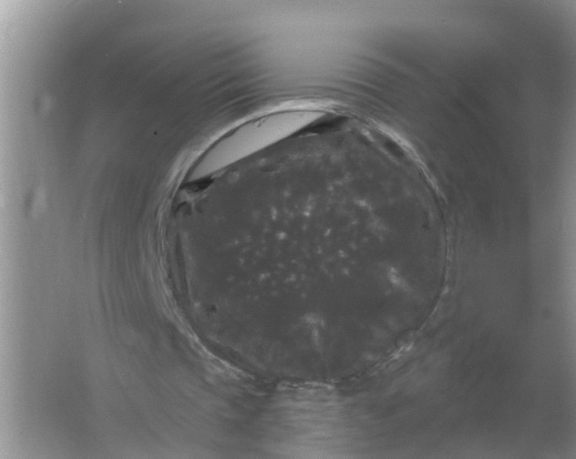 X0000066930337200604071852