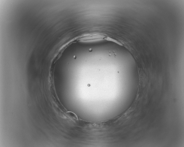 X0000066930338200604071852