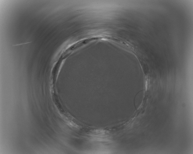 X0000066930339200604071852