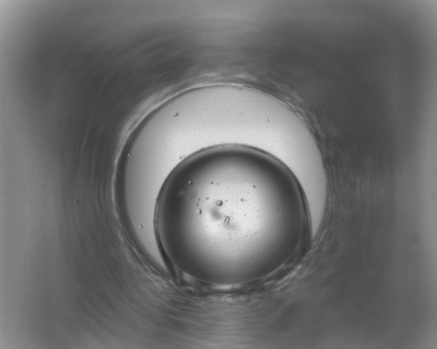 X0000066930340200604071852