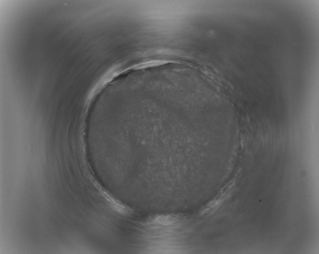 X0000066930341200604071852