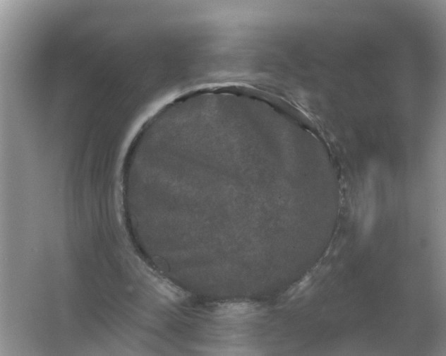 X0000066930342200604071852