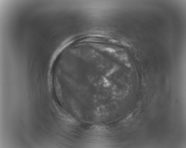 X0000066930343200604071852