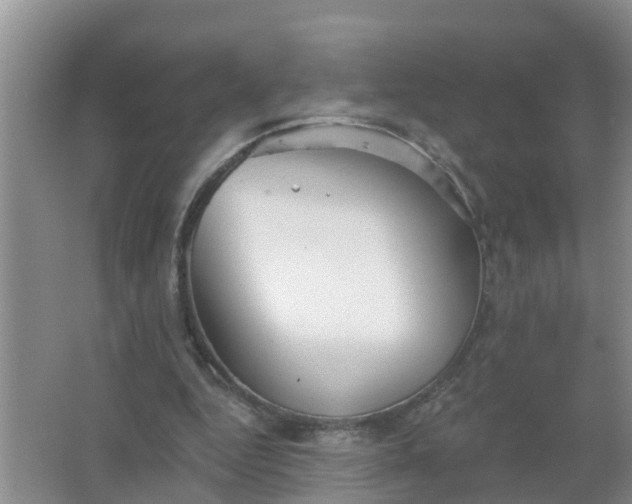 X0000066930344200604071852