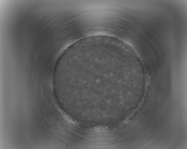 X0000066930345200604071852