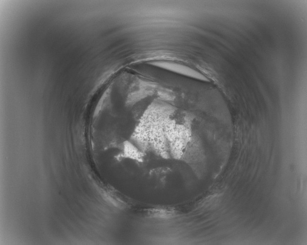 X0000066930347200604071852