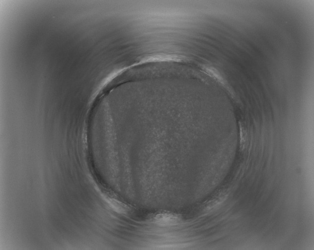 X0000066930348200604071852