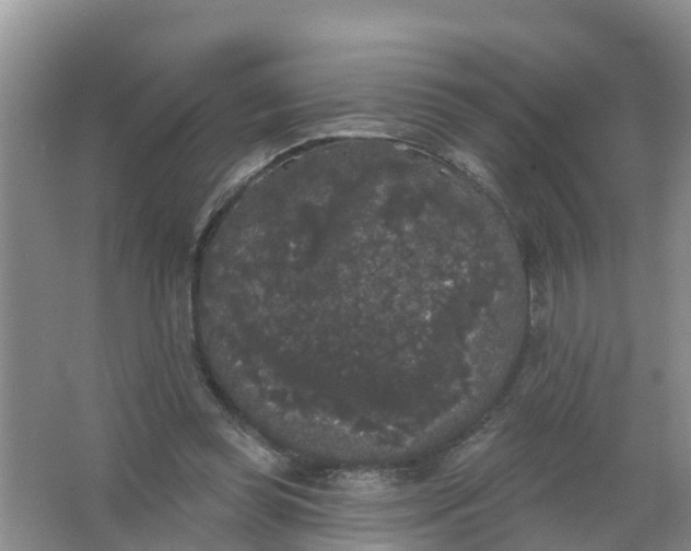 X0000066930349200604071852