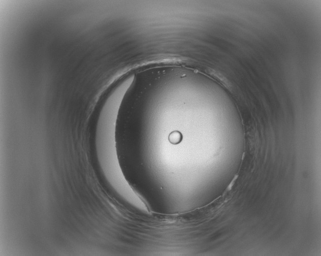 X0000066930350200604071852