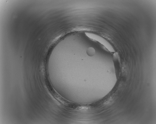 X0000066930352200604071852