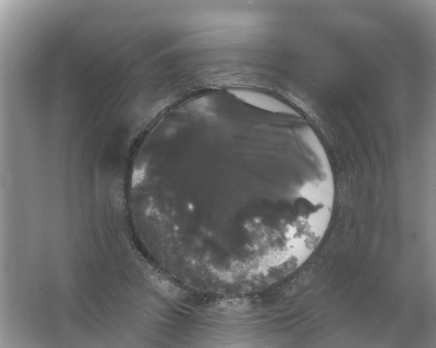 X0000066930353200604071852