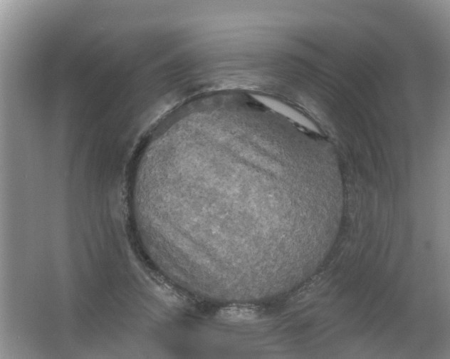 X0000066930354200604071852