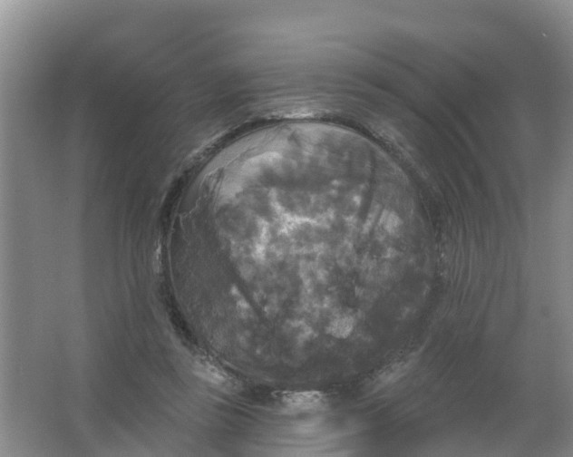 X0000066930355200604071852