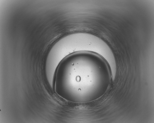 X0000066930356200604071852