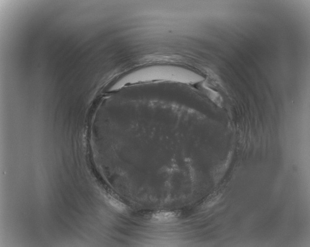 X0000066930357200604071852