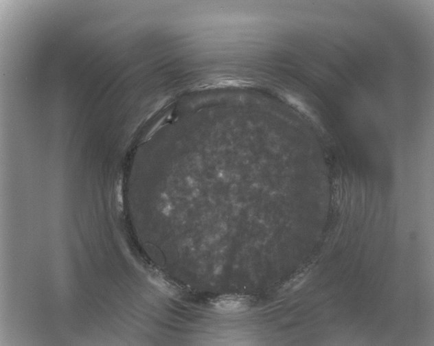 X0000066930358200604071852