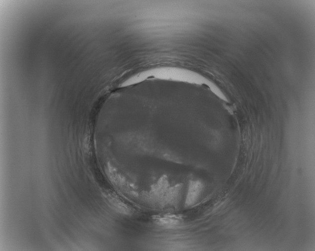 X0000066930359200604071852