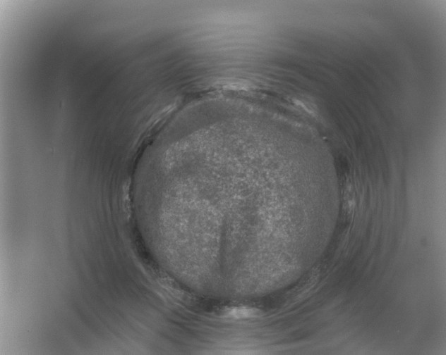 X0000066930360200604071852