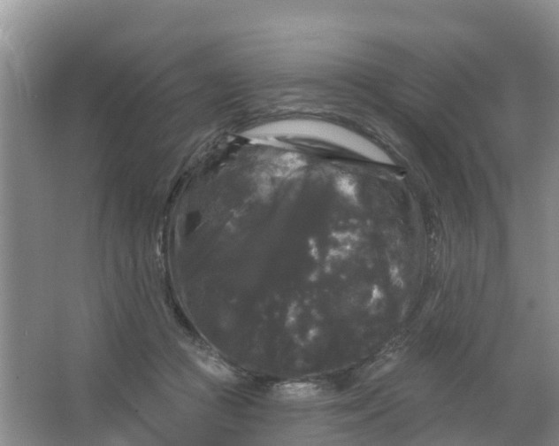 X0000066930361200604071852